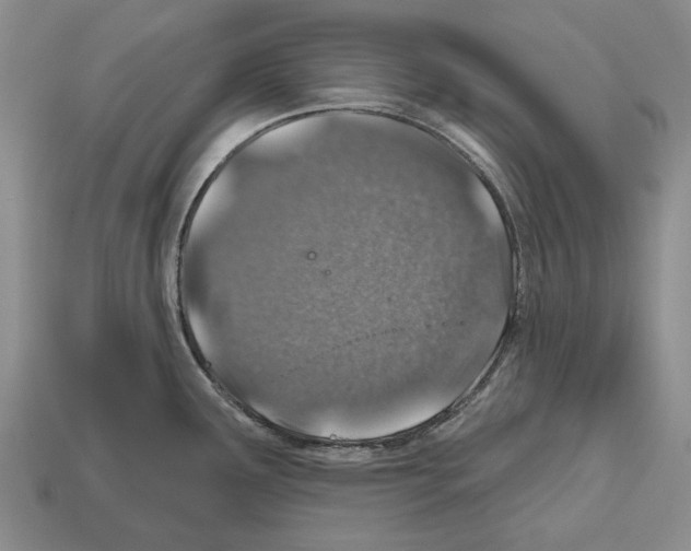 X0000112521291200909281009