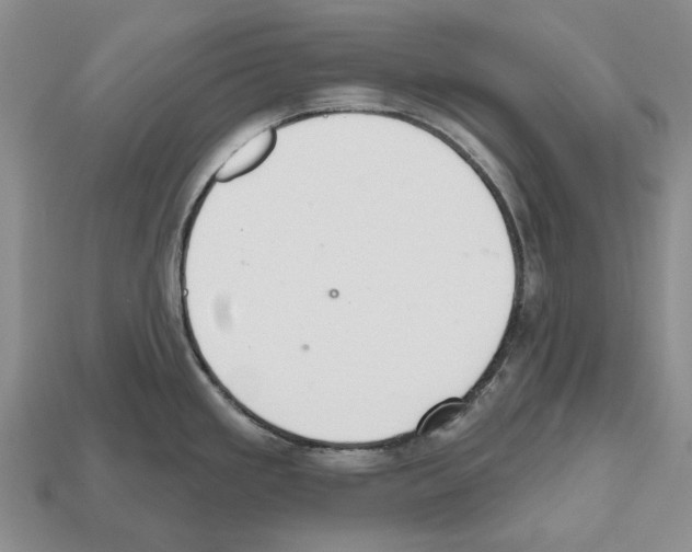 X0000112521293200909281009