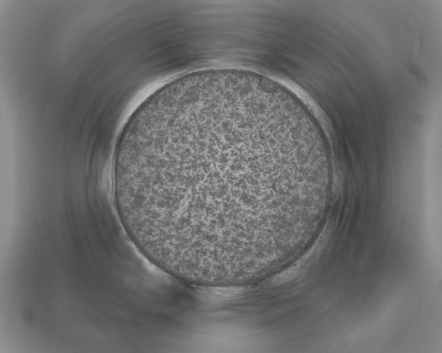 X0000112521294200909281009
