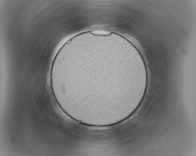 X0000112521296200909281009