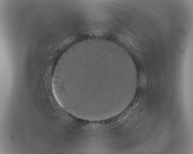 X0000112521297200909281008