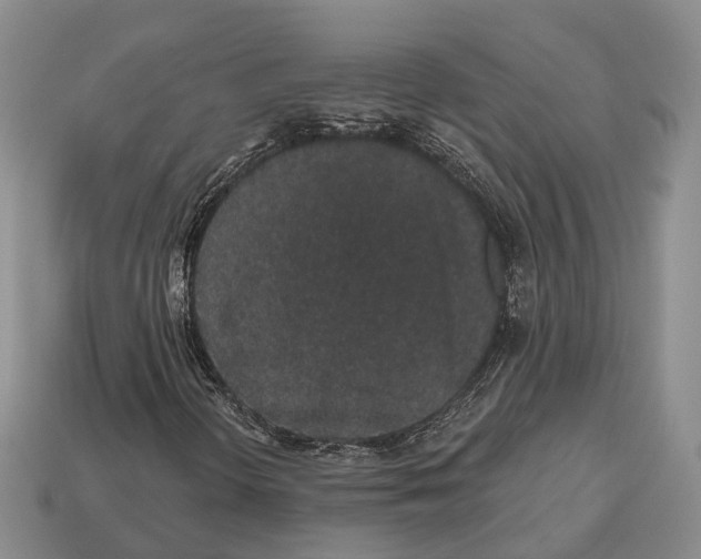 X0000112521298200909281008