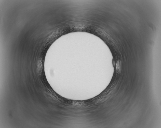 X0000112521299200909281008