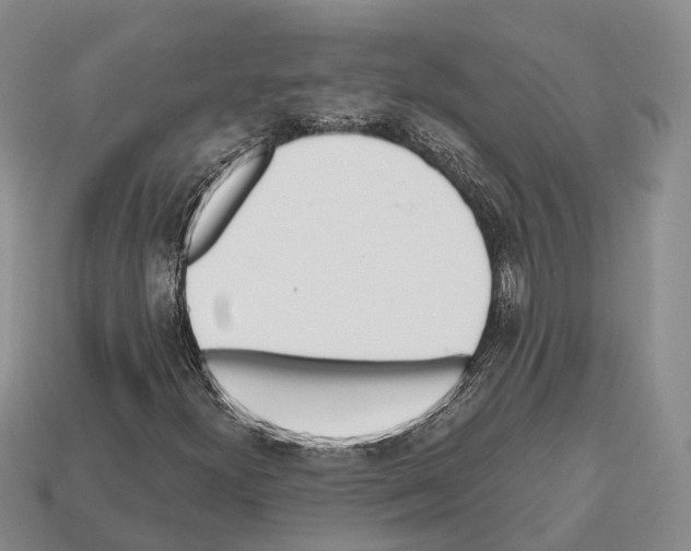 X0000112521300200909281008