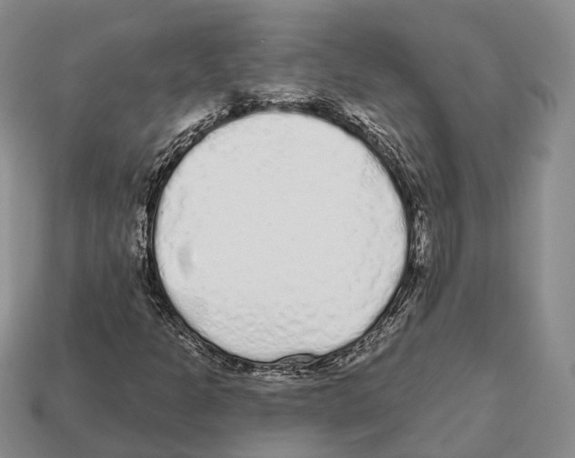 X0000112521301200909281008