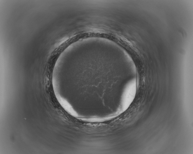 X0000112521303200909281008