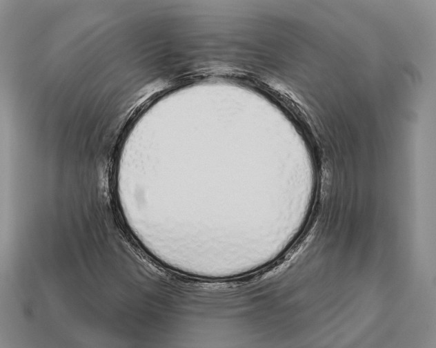 X0000112521305200909281009