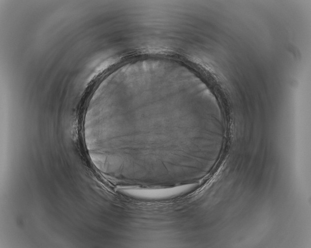 X0000112521306200909281009
