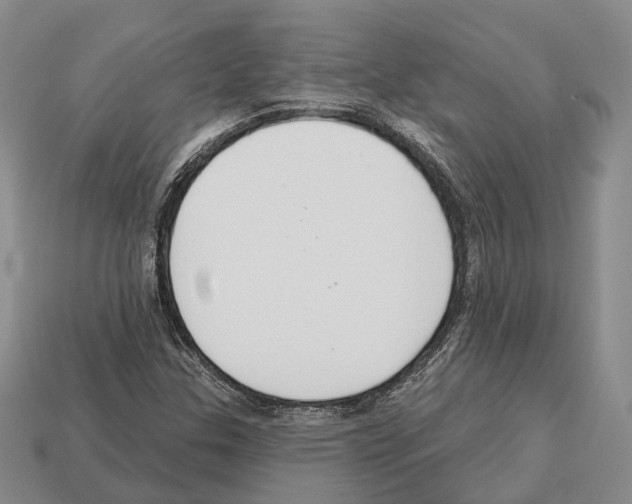 X0000112521307200909281009