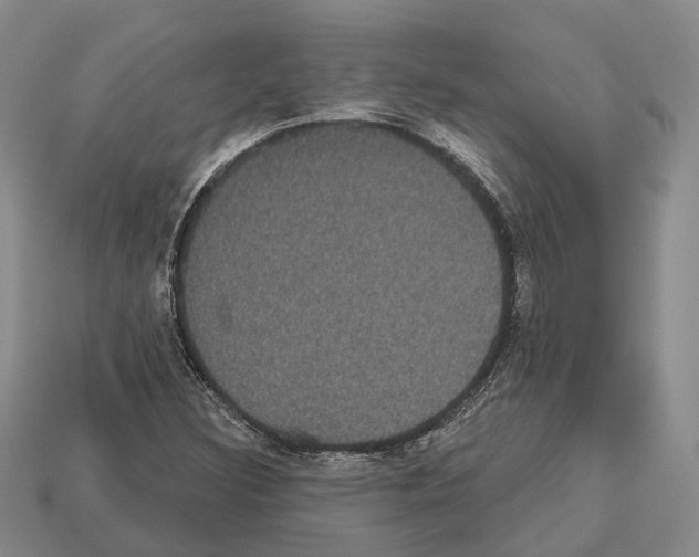 X0000112521308200909281009