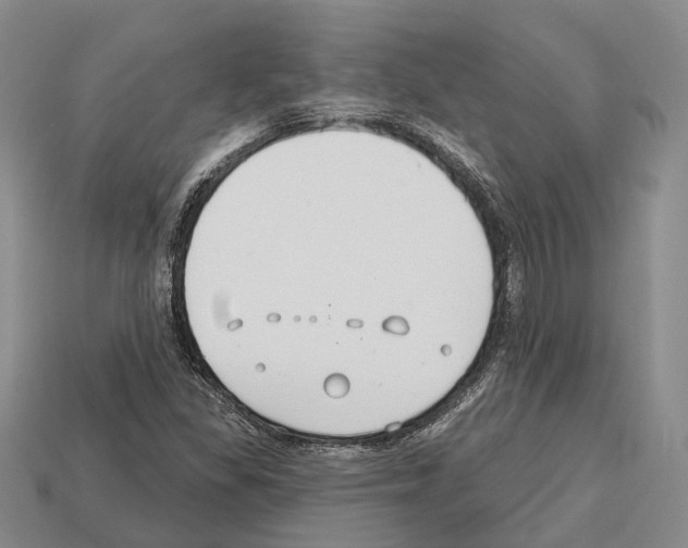 X0000112521309200909281009