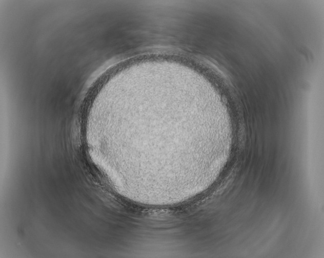 X0000112521310200909281009