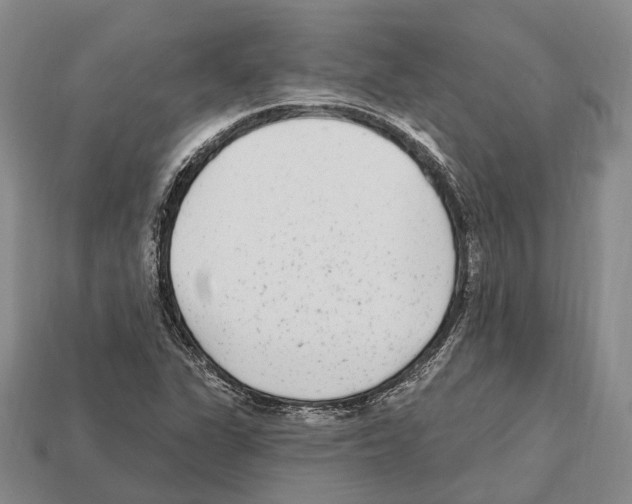 X0000112521311200909281009