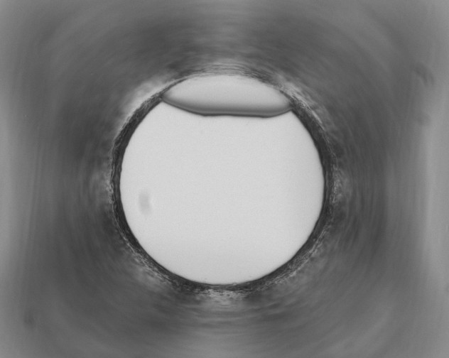 X0000112521312200909281009