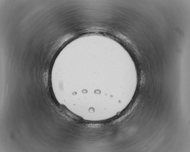 X0000112521313200909281009