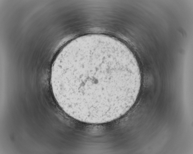X0000112521314200909281009