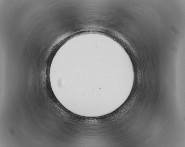 X0000112521315200909281009