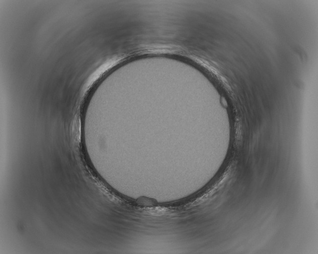 X0000112521317200909281009