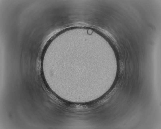 X0000112521318200909281009