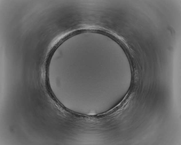 X0000112521319200909281009