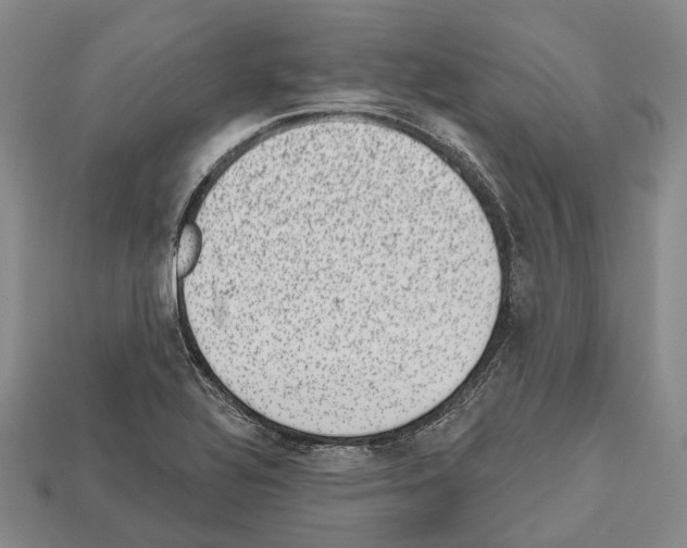 X0000112521320200909281009
