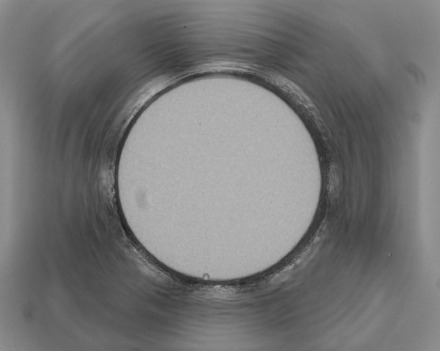 X0000112521321200909281009