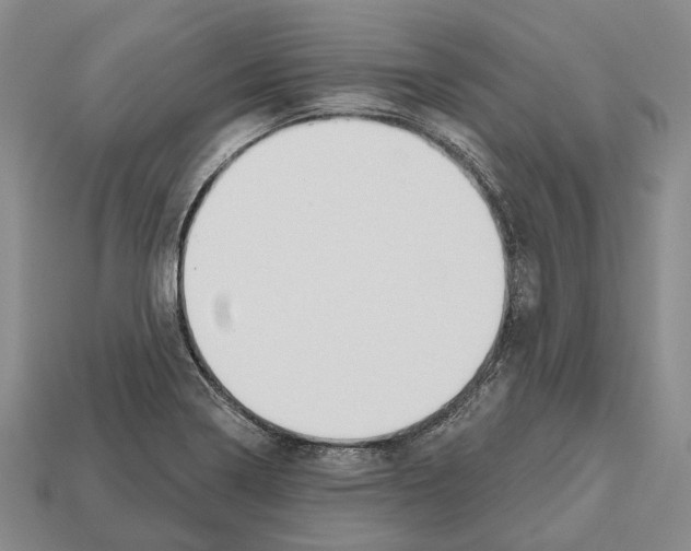 X0000112521322200909281009