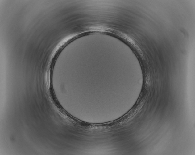 X0000112521323200909281009