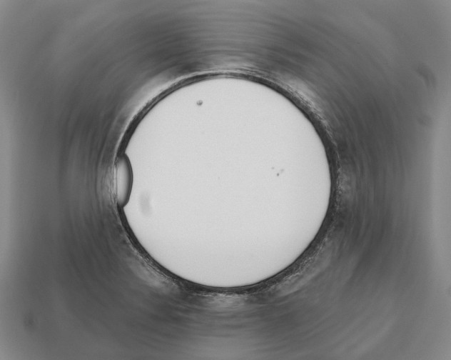X0000112521324200909281009