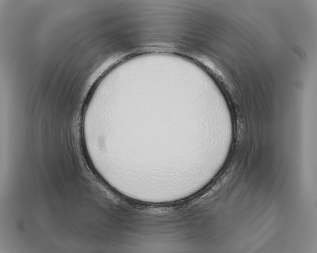 X0000112521325200909281009