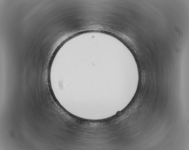X0000112521326200909281009