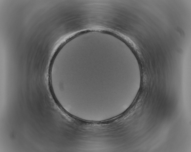 X0000112521327200909281009