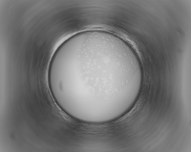 X0000112521328200909281009