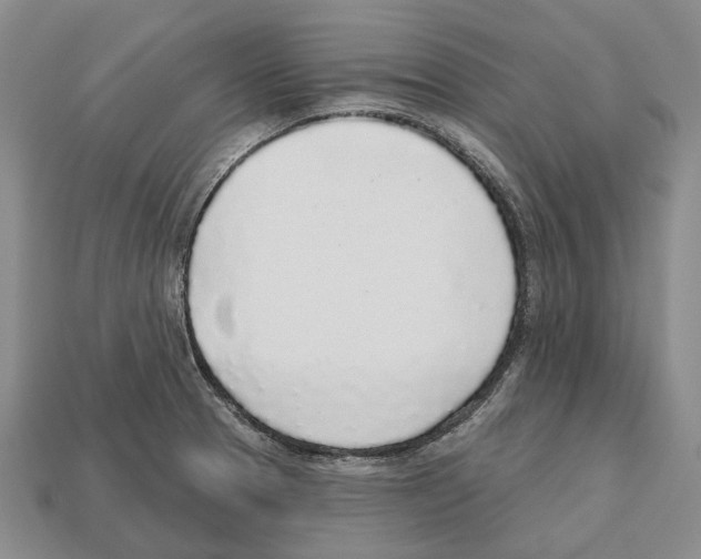 X0000112521329200909281009