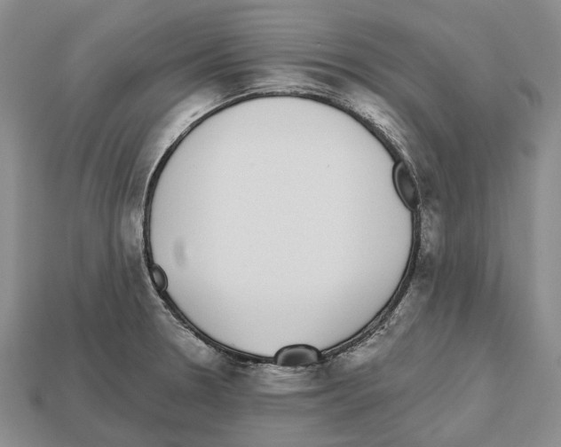 X0000112521330200909281009
