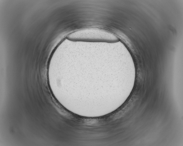 X0000112521332200909281009