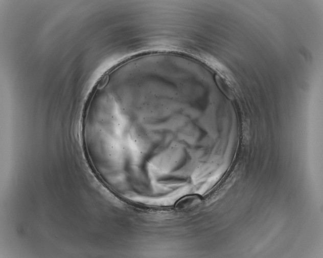 X0000112521334200909281009