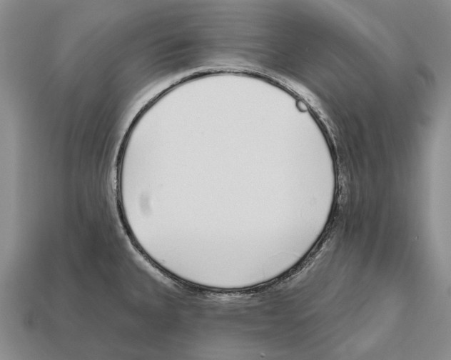 X0000112521335200909281009