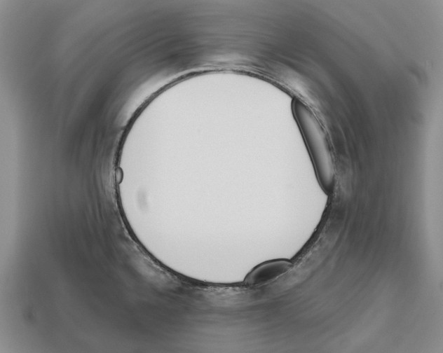 X0000112521336200909281009