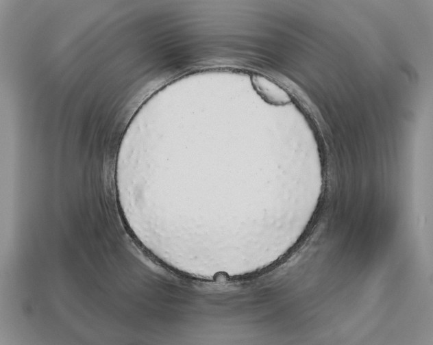 X0000112521337200909281009