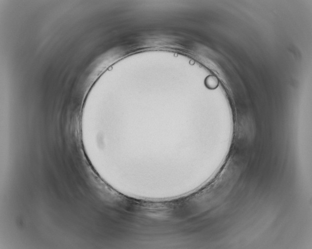 X0000112521338200909281009