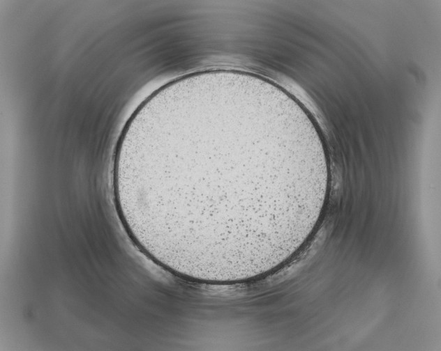 X0000112521339200909281009