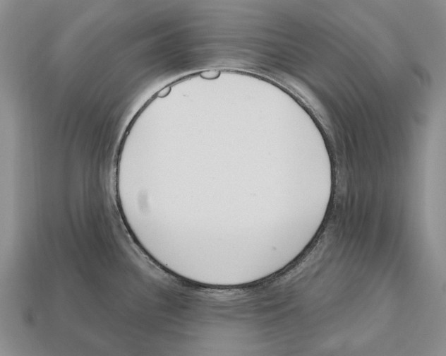 X0000112521340200909281009