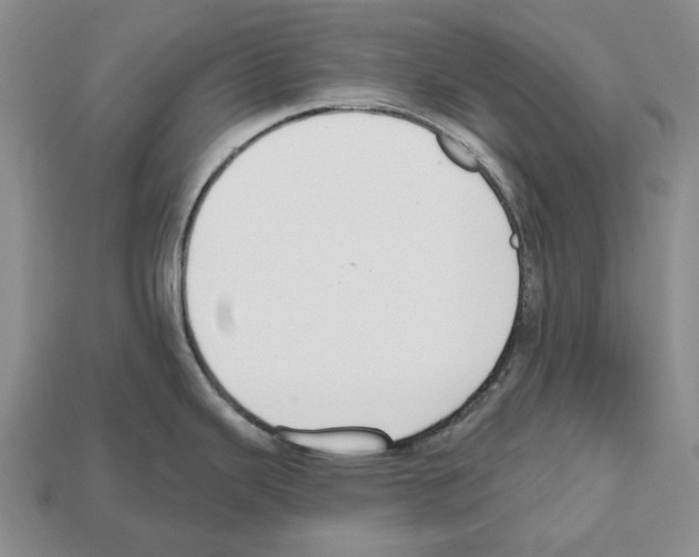X0000112521343200909281009
