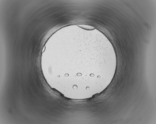 X0000112521344200909281009