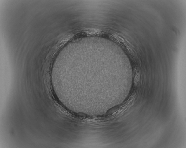 X0000112521345200909281008