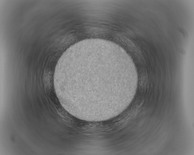 X0000112521346200909281008