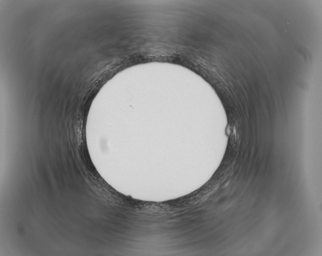 X0000112521348200909281008