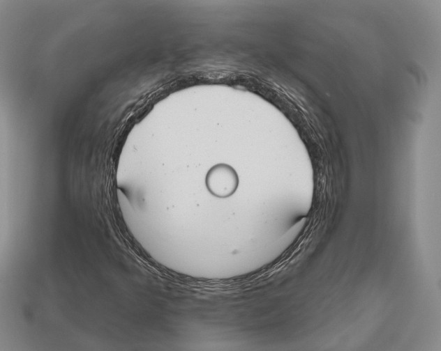 X0000112521349200909281008