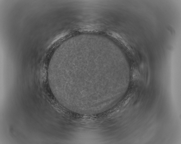 X0000112521350200909281008